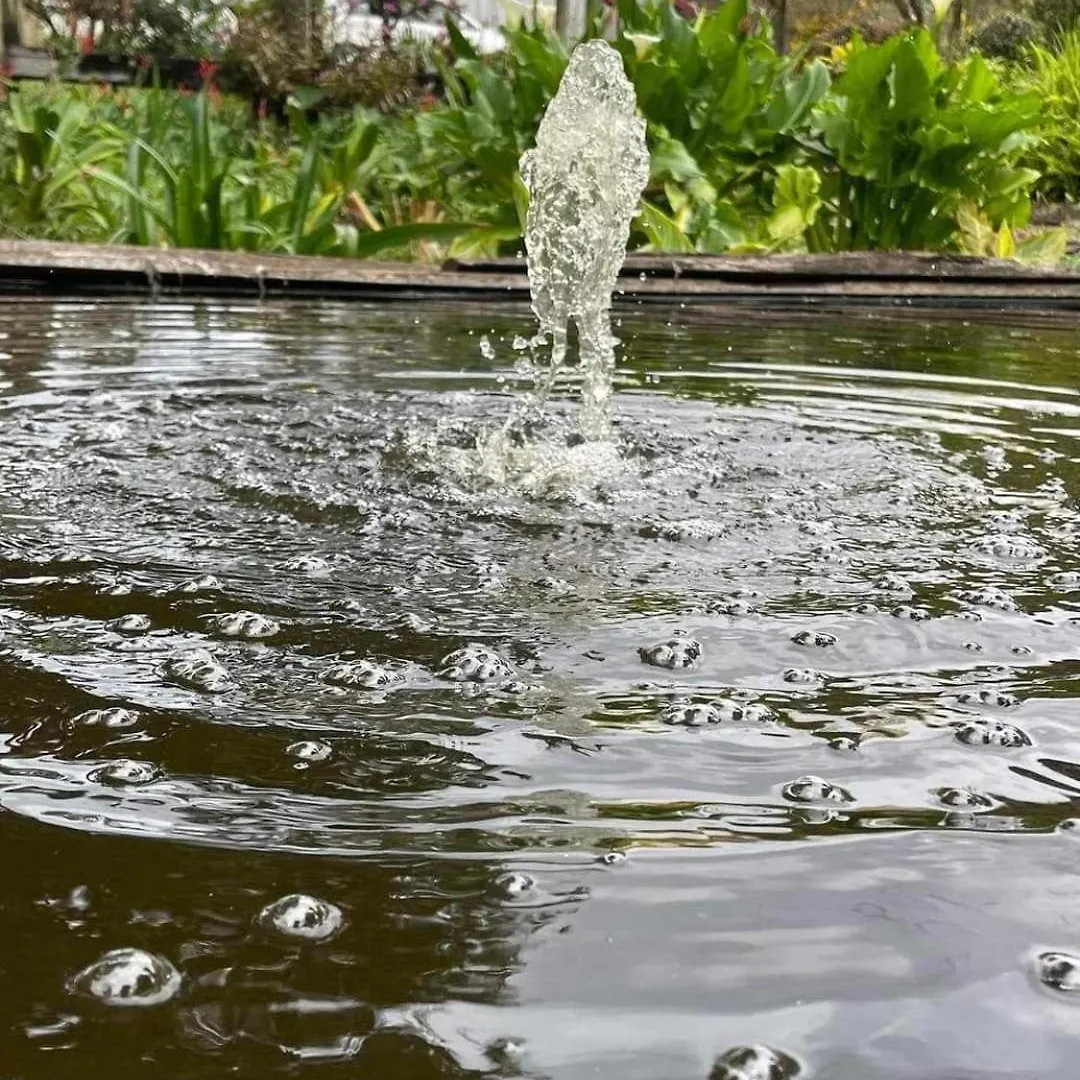 Guest house Amamoor - Living Waters Hotel