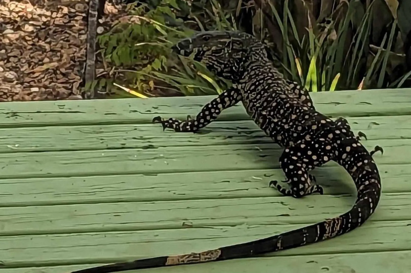 Amamoor - Living Waters Hotel Australia