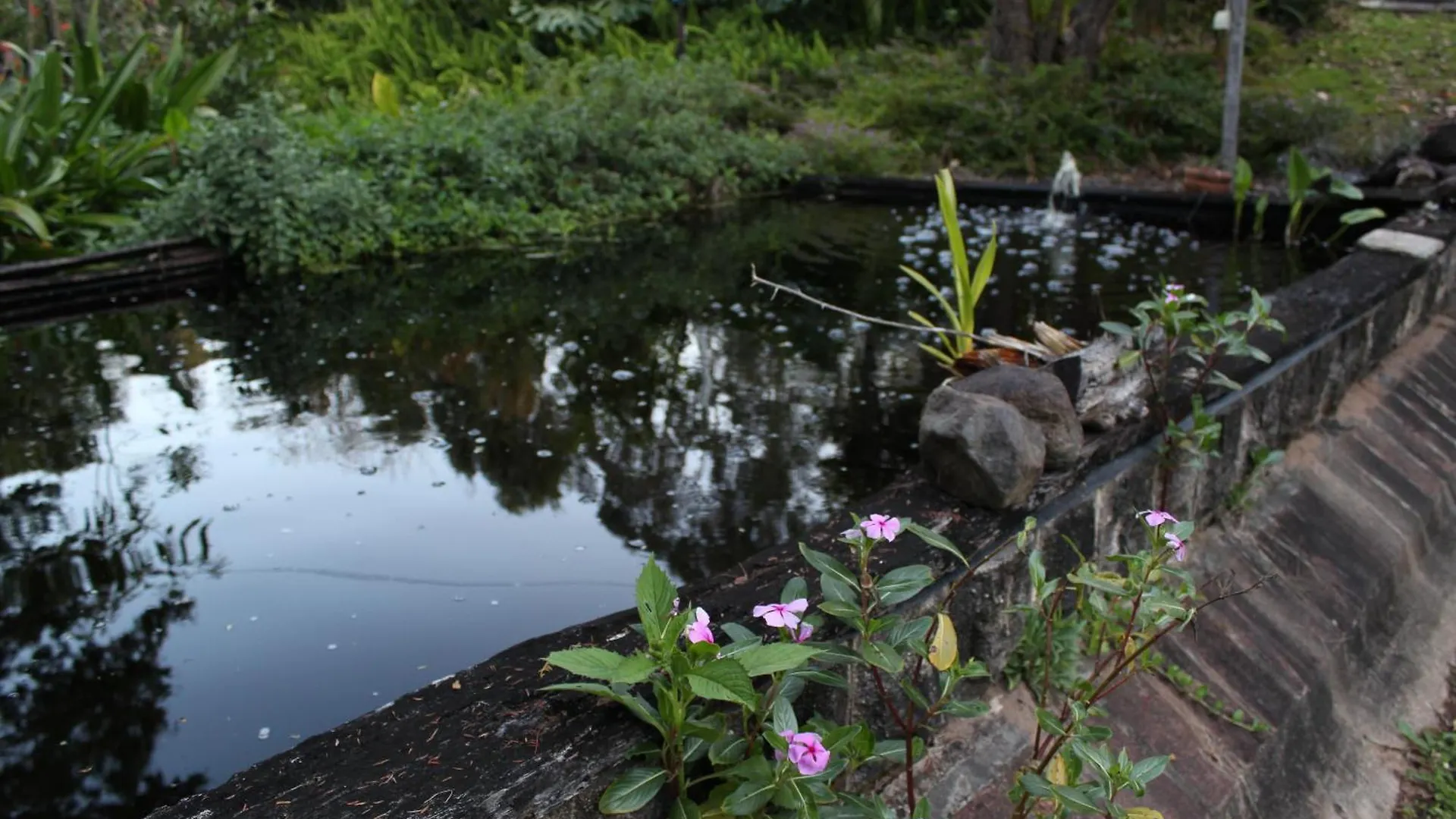 Amamoor - Living Waters Hotel Guest house